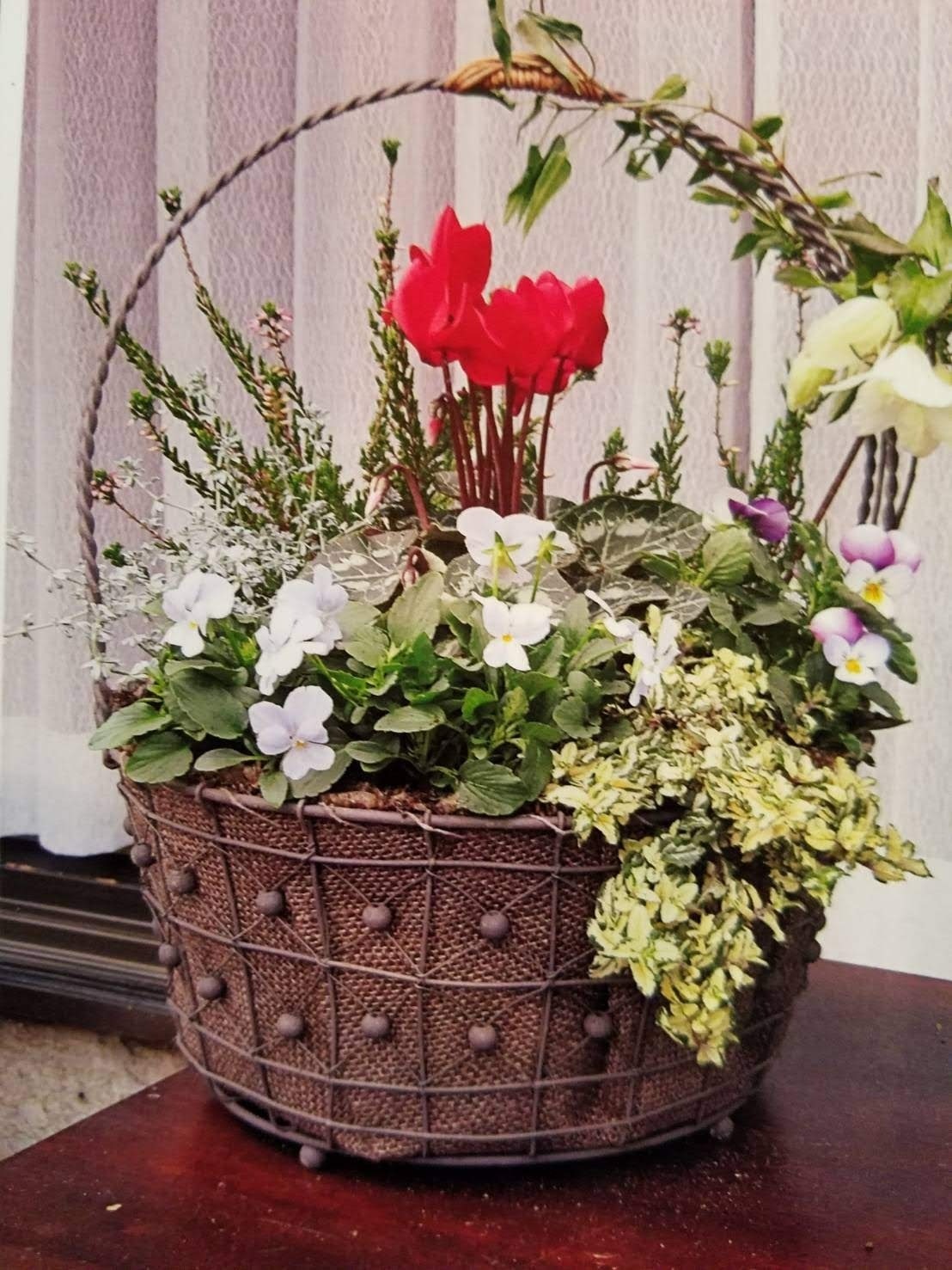 コンテナの寄せ植えイメージ